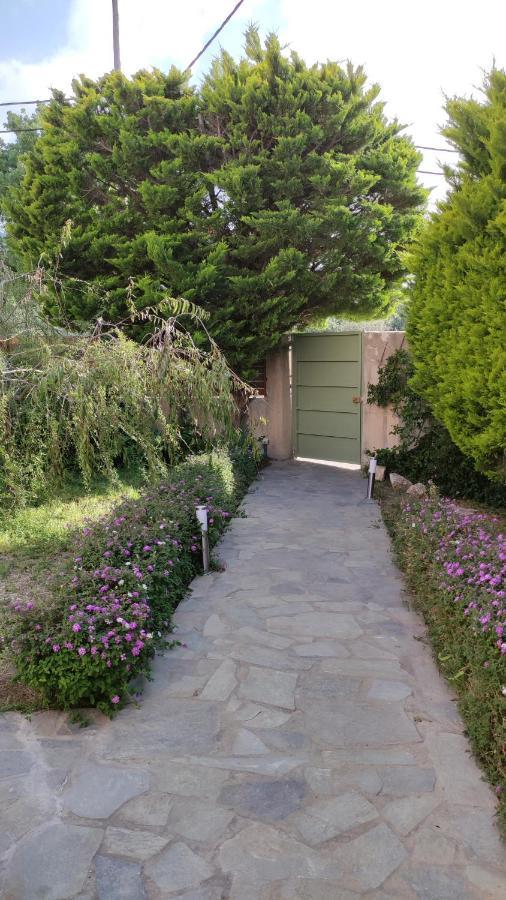 Villa Katerina Ialysos  Buitenkant foto